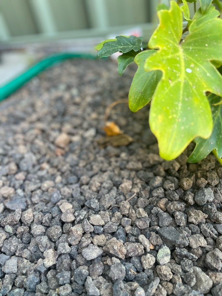 Scoria 20mm volcanic rock