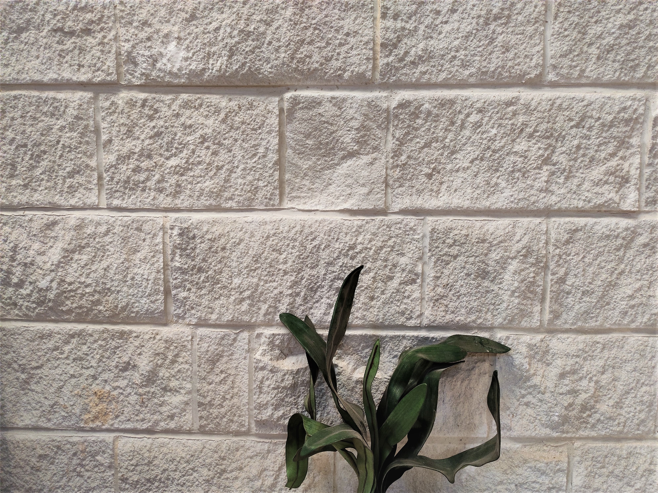 Kirra White sandstone cladding wall installation Brisbane